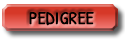 pedigree btn